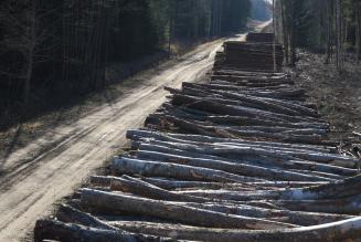 Eesti FSC metsamajandamise standard