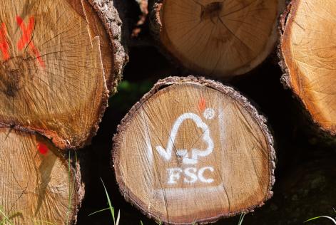 fsc palgil