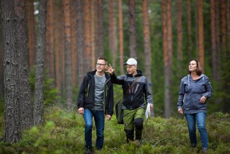 Jätkusuutlik metsamajandamine hoiab metsa tervist ja viljakust, aitab võidelda globaalse soojenemisega ja kaitseb elurikkust.